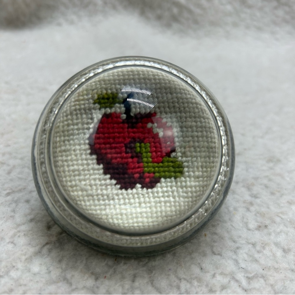 Vintage Magnified Paper weight cross stitch apple with worm VTG USED READ